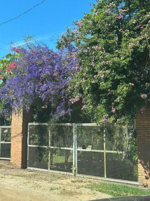 Sitio Beija Flor Em Sao Roque Villa Dış mekan fotoğraf