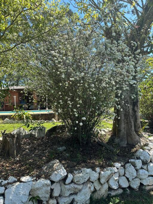 Sitio Beija Flor Em Sao Roque Villa Dış mekan fotoğraf